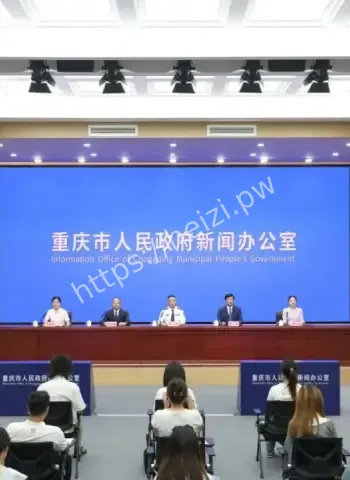 重庆打掉境内外电诈团伙